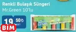 MR.GREEN RENKLİ BULAŞIK SÜNGERİ